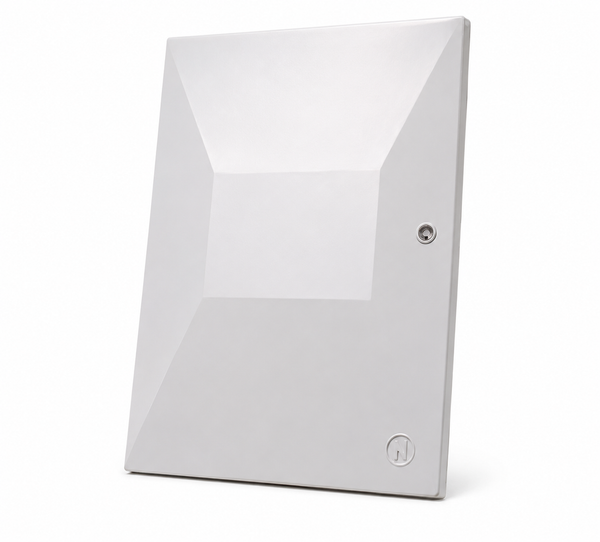 Mitras Recessed Electricity Meter Box Door Left-hand Hinged